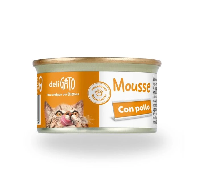 15582