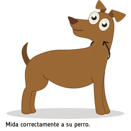 23770