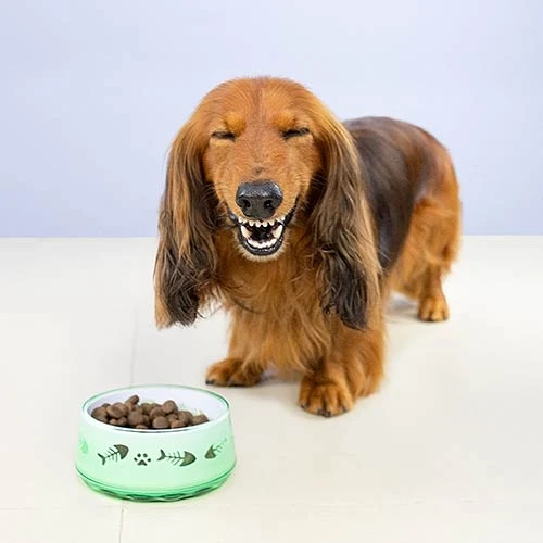 24144