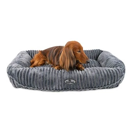 24909