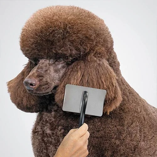 23960