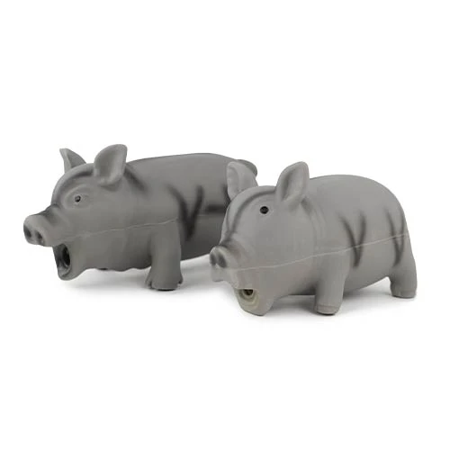 23151