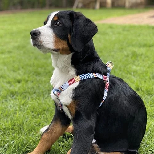23718