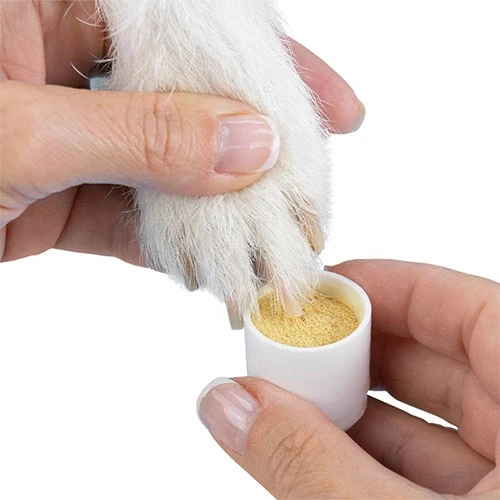 24216