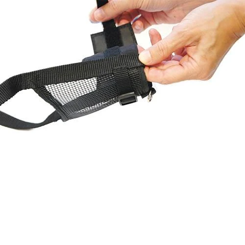25295