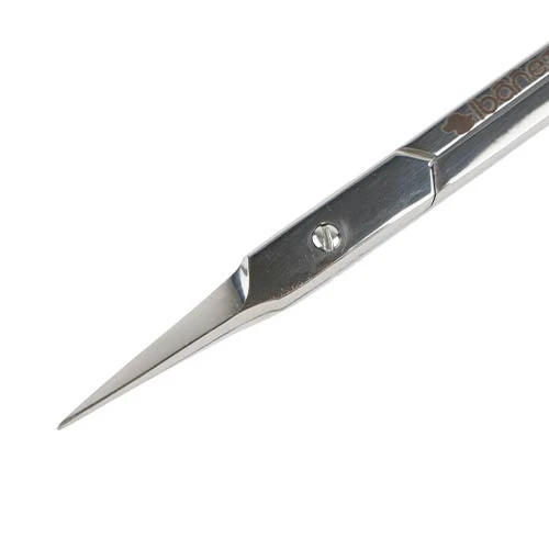 27262