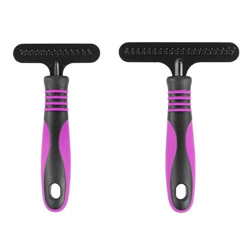 24231