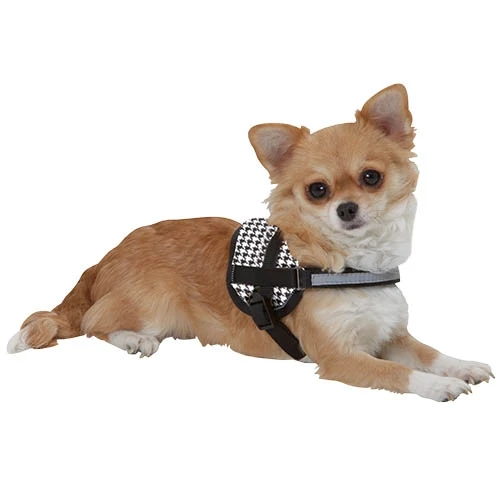 28784