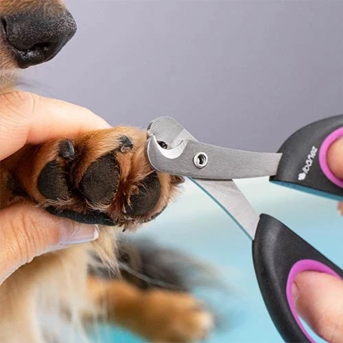 28788
