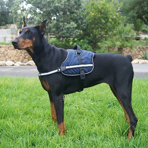 27750