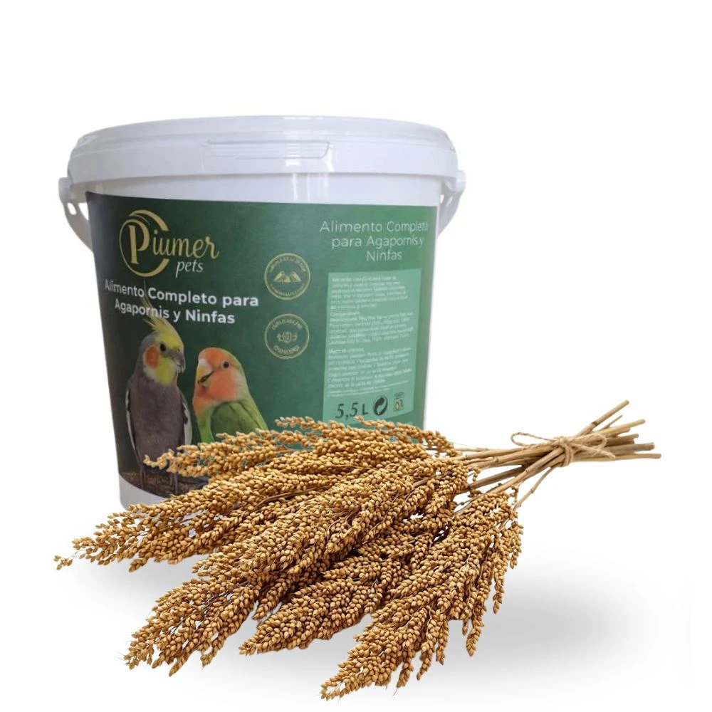 Piumer Lote Ahorro Mixtura para Agapornis, Ninfas y Caiques 5 kg +1 bolsa de Panizo 1 kg