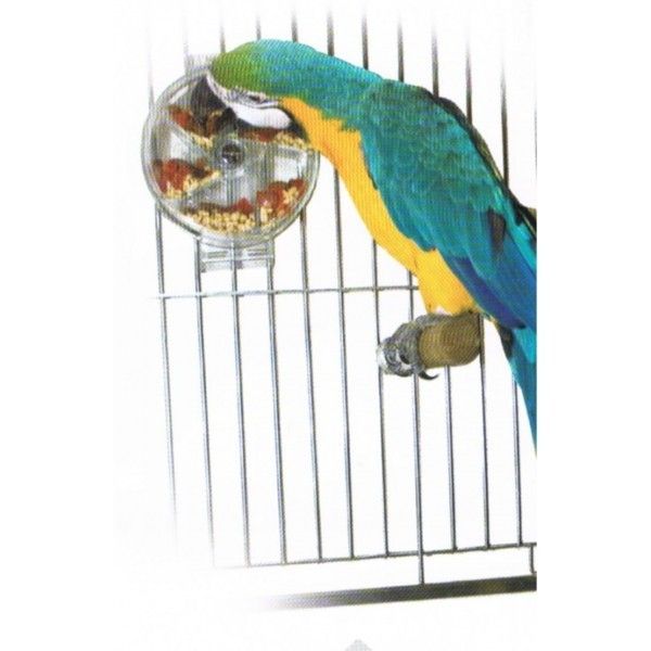 Sun Parrots Interactive Wheel — Parrot Toy