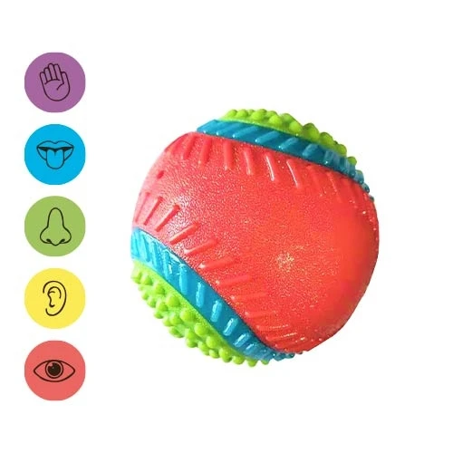Pelota 5 Sentidos Ø 8 cm para Perros