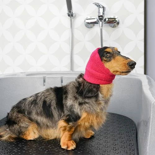 Banda protectora antiestrés Talla L para Perros