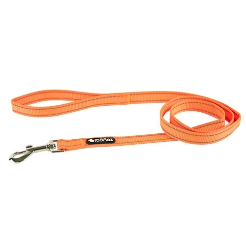Correa Reflectante Talla M para Perros