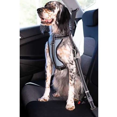 Arnés con Cinturón de Seguridad Talla Xl para Perros de Ibáñez