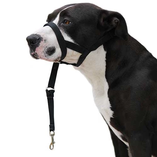 Dog guider Talla Xl para Perros de Ibáñez