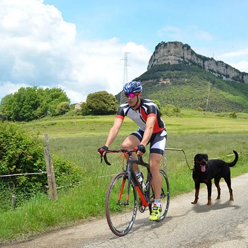 DogCycle para Perros de Ibáñez