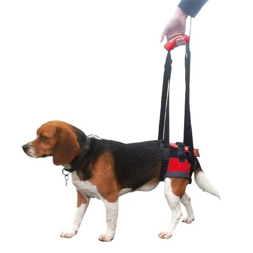 Arnés Trasero de Movilidad Talla Xl para Perros