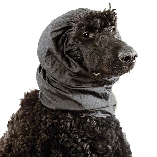 Protector de Orejas Luxe Negro para Perros