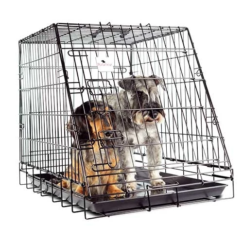Jaula plegable para coche Grande para Perros de Ibáñez