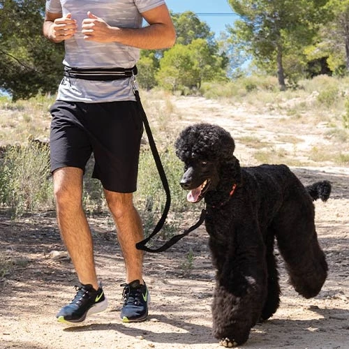 Correa running On Go para Perros de Ibáñez