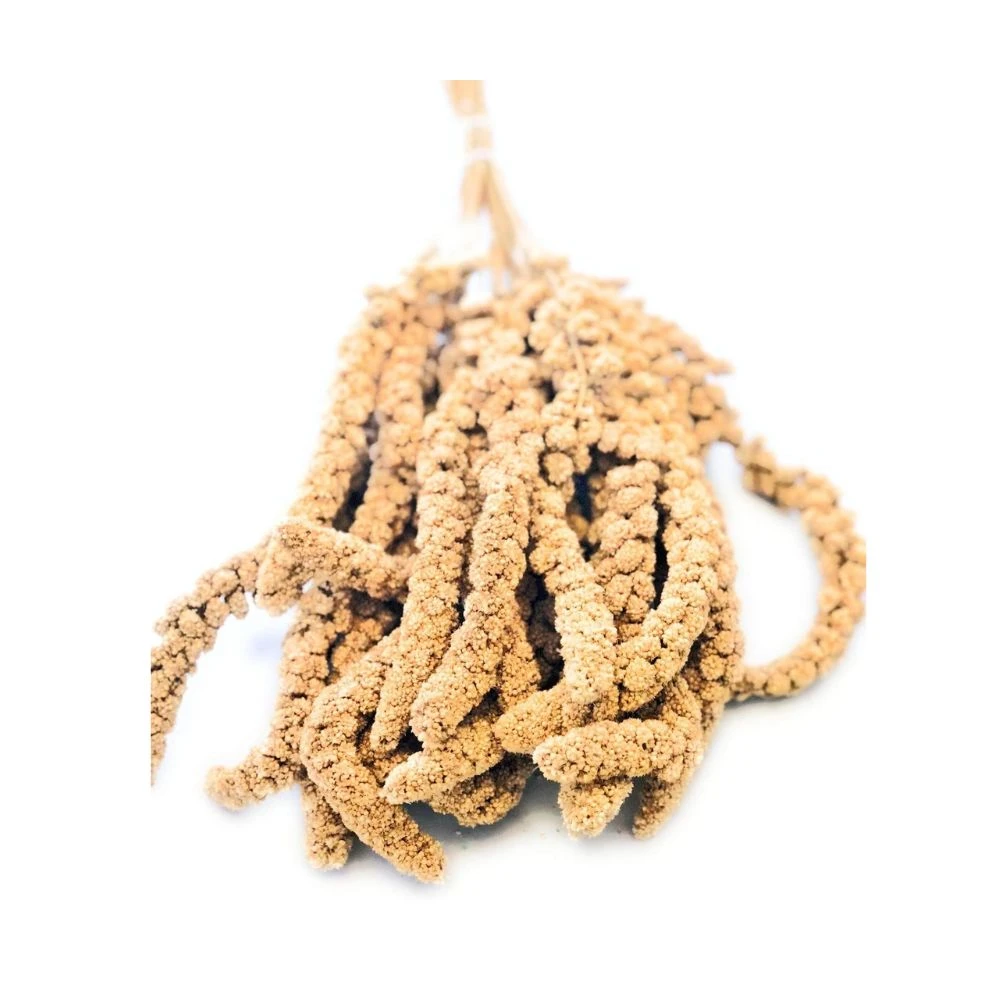 [11011478] Panizo en Rama o Espiga, bolsa de 1 kg
