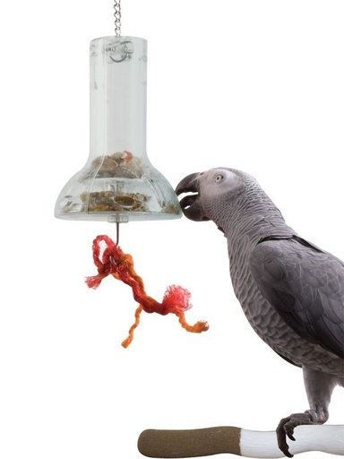 [00612] Campana Interactiva educativa para loros