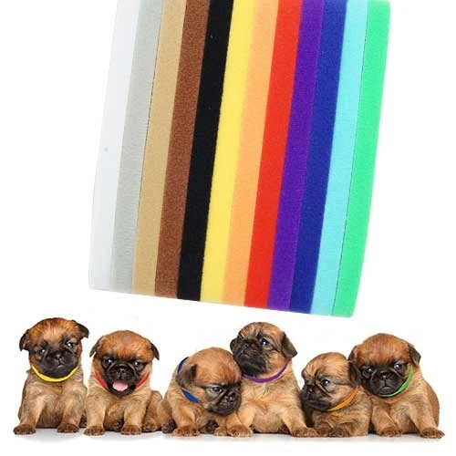 [TG0565] Set 12 Collares para camadas Set 12 Unid. para Perros