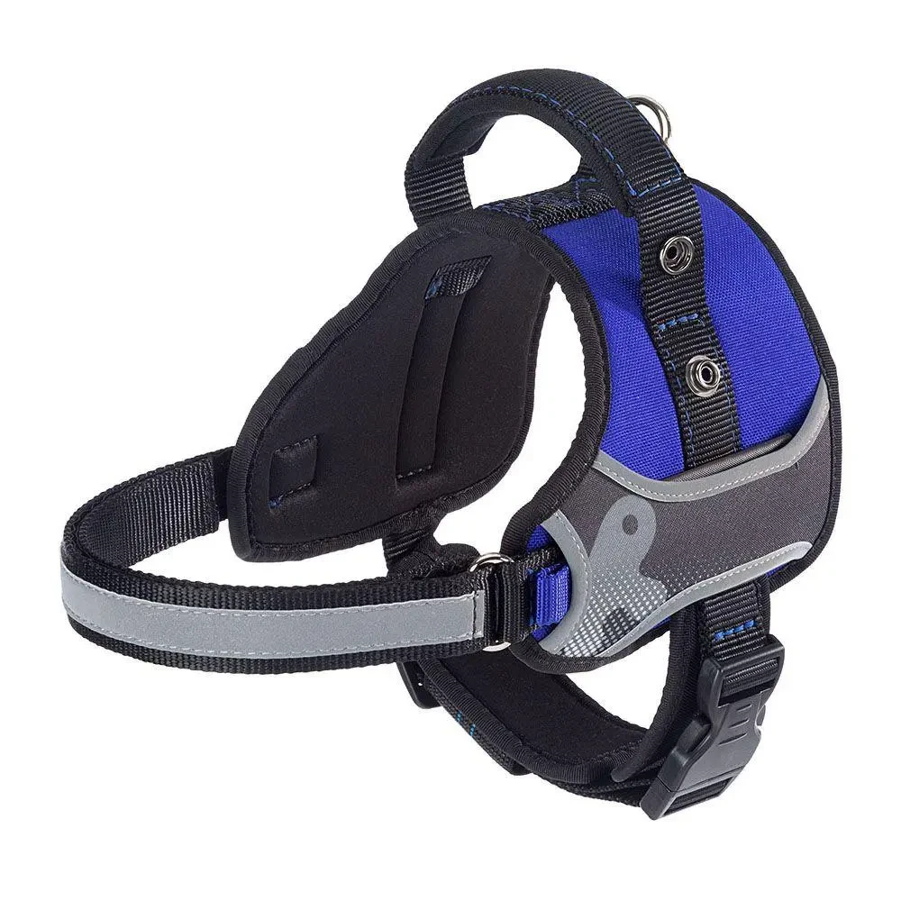 [F75468425] Ferplast Arnes Hercules Large Azul Correa o collar para perros